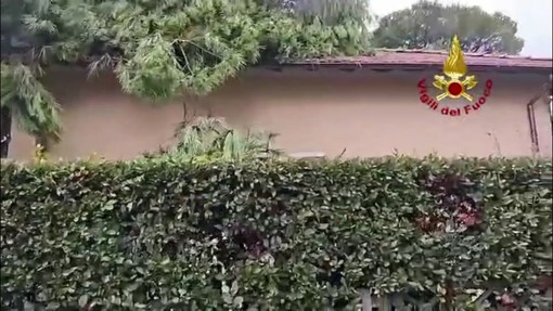 Tromba d'aria nel Lucchese, alberi caduti su auto e abitazioni