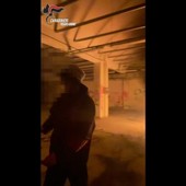Fabbricavano molotov e le testavano in un capannone, perquisizioni e sequestri a quattro giovanissimi Fabbricavano molotov e le testavano in un capannone, perquisizioni e sequestri a quattro giovanissimi