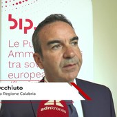 Occhiuto: "Evitare insorgenza futuro ai divide che penalizzi microimprese"