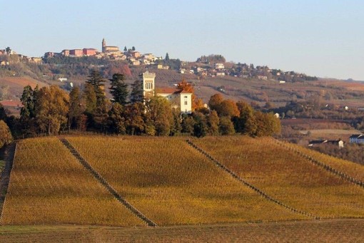 Enoteca Colline Alfieri: aperto il bando per un membro del Consiglio direttivo