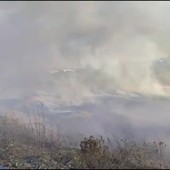 Incendio a Brindisi, a fuoco vasta area sterpaglie e canneto in zona industriale Incendio a Brindisi, a fuoco vasta area sterpaglie e canneto in zona industriale