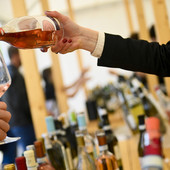 Il Distretto del Cibo del Roero protagonista a Vinum 2026  con cinque giorni dedicati  alle eccellenze del territorio