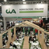 Vinitaly 2026, i produttori Cia tra buyer e nuove energie: “Ritorno di operatori qualificati”