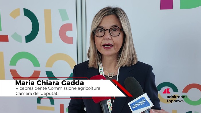 Ristorazione collettiva, Gadda: "Serve una cabina di regia nazionale" Ristorazione collettiva, Gadda: "Serve una cabina di regia nazionale"