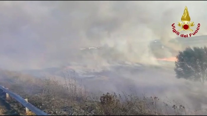 Incendio a Brindisi, a fuoco vasta area sterpaglie e canneto in zona industriale Incendio a Brindisi, a fuoco vasta area sterpaglie e canneto in zona industriale