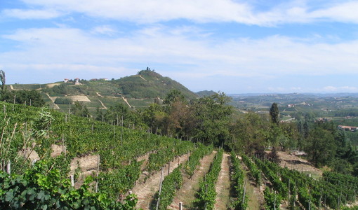 Resa del moscato, Coldiretti Asti frena i trionfalismi dopo la mediazione