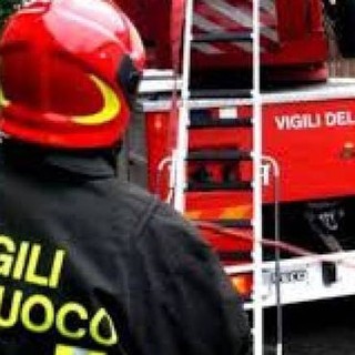 Costigliole d'Asti: i vigili del fuoco hanno salvato 4 mucche finite in un canale