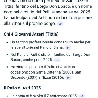 La pagina web con il verdetto dell'ai