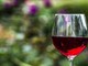 OCM Vin Piemonte: 131 milioni di euro spesi in dieci anni