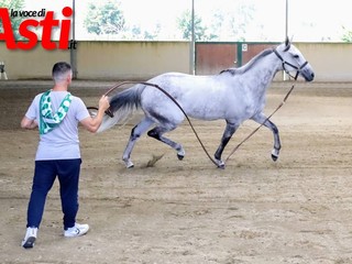 Le foto della prima giornata di visite (Merphefoto)
