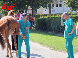 Le foto della mattinata (Merphefoto)