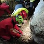 Nuoro, le operazioni dei vigili del fuoco per salvare lo speleologo bloccato in una grotta Nuoro, le operazioni dei vigili del fuoco per salvare lo speleologo bloccato in una grotta