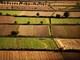 Banca nazionale delle Terre Agricole (Bta), al via nona edizione: in vendita 8.863 ettari per un valore di oltre 121 milioni di euro