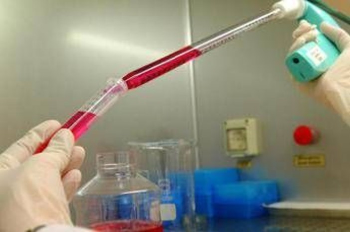 Per Natale da Cambielli 100mila euro a Fondazione Humanitas per la Ricerca Per Natale da Cambielli 100mila euro a Fondazione Humanitas per la Ricerca