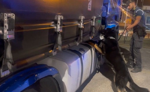 Sequestrati 85 kg di droga al porto di Civitavecchia, arrestato autista bulgaro Sequestrati 85 kg di droga al porto di Civitavecchia, arrestato autista bulgaro