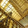 Rivolta nel carcere di Enna, oltre 100 detenuti occupano parte del vecchio padiglione Rivolta nel carcere di Enna, oltre 100 detenuti occupano parte del vecchio padiglione