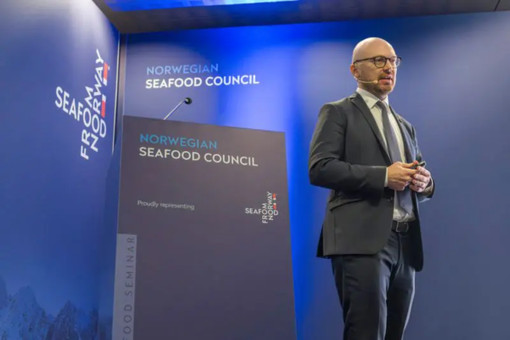 Salmone norvegese, crescita dei consumi in Italia e nuove tendenze del mercato Salmone norvegese, crescita dei consumi in Italia e nuove tendenze del mercato