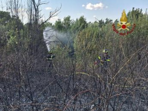 Roma, da via Pineta Sacchetti a Cinecittà: diversi incendi nella Capitale e dintorni Roma, da via Pineta Sacchetti a Cinecittà: diversi incendi nella Capitale e dintorni