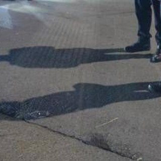 Femminicidio a Gela, Veronica Abaza uccisa dal compagno a calci e pugni