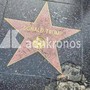 Trump, la stella a Hollywood è 'rotta'. E c'è un insulto all'Ice