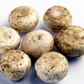 Da funghi champignon possibile azione anti-cancro prostata, si studia meccanismo