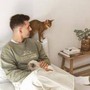 Animali, da Ultima campagna Amore Animale e sostegno a Enpa