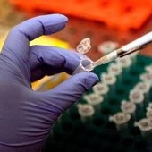 Morbillo, Pennsylvania segnala sesto morto: 39enne con patologie e già infettata di recente Morbillo, Pennsylvania segnala sesto morto: 39enne con patologie e già infettata di recente