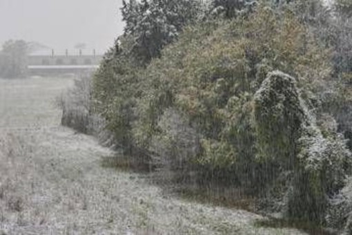 Neve e gelo polare, inverno è in anticipo Neve e gelo polare, inverno è in anticipo