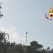 Incendi sul Gargano, fiamme domate. Sindaco di Peschici: "Turisti rientrati nelle strutture"