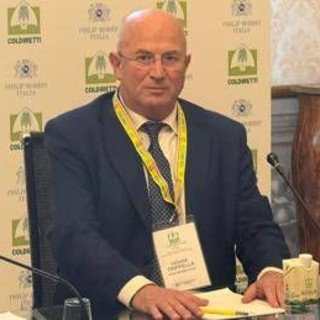 Nasce 'Filiera Tabacchicola Italiana' ed entra in Filiera Italia, vale 2,2 mld