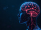 Neurologia, pubblicato il report globale Oms e la strategia italiana per salute cervello