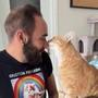 Come accarezzare i gatti, ecco la 'ricetta' infallibile per farsi amare Come accarezzare i gatti, ecco la 'ricetta' infallibile per farsi amare