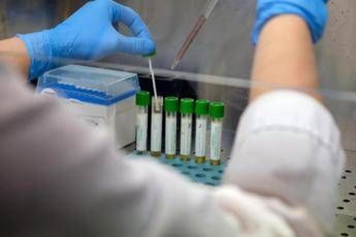 Medicina, italiani svelano errori nascosti nelle cellule: &quot;Possibile ruolo in più malattie&quot;