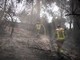 Israele ancora in fiamme, Netanyahu: &quot;18 arresti per sospetto incendio doloso&quot;
