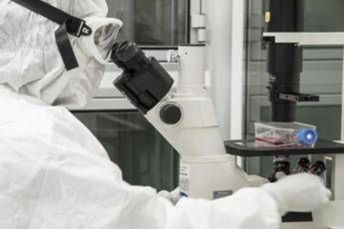 La scoperta per ricaricare le cellule e combattere l'invecchiamento