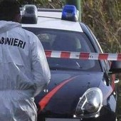 Torino, investe il figlio dell'amante dell'ex. Il legale: "La donna è traumatizzata e sotto choc, non voleva" Torino, investe il figlio dell'amante dell'ex. Il legale: "La donna è traumatizzata e sotto choc, non voleva"