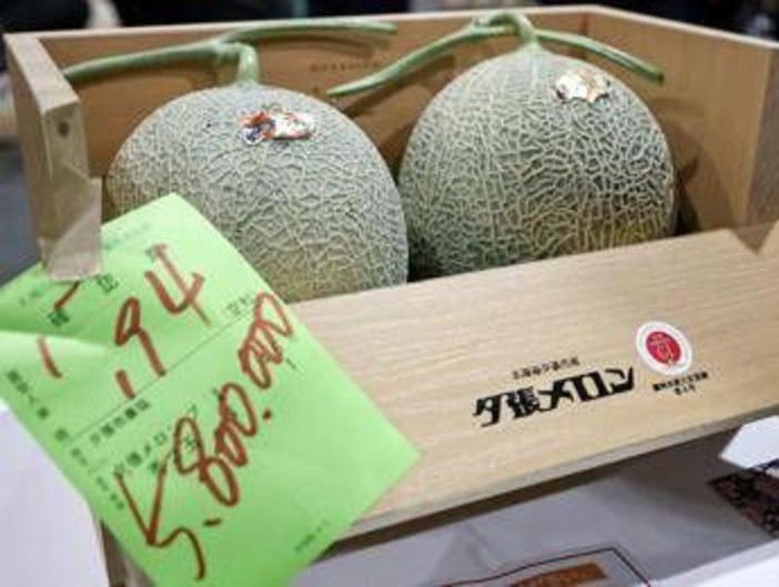 Due meloni venduti a 31mila euro, l'asta choc in Giappone per i frutti 'd'oro'
