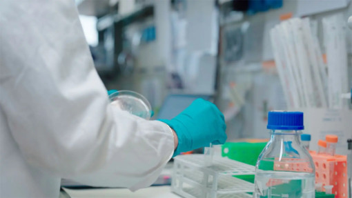 Ematologia, al San Raffaele di Milano integrazione tra ricerca e cura