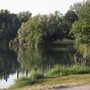 Milano, violentata mentre fa jogging al parco: si salva mordendo l'aggressore, arrestato 26enne Milano, violentata mentre fa jogging al parco: si salva mordendo l'aggressore, arrestato 26enne