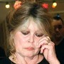 Brigitte Bardot ricoverata di nuovo, media: "In ospedale da 10 giorni" Brigitte Bardot ricoverata di nuovo, media: "In ospedale da 10 giorni"