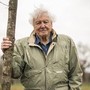 David Attenborough da record, a 99 anni vince il Daytime Emmy Award