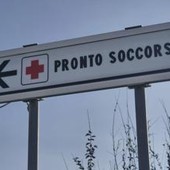 Morso di zecca e rischio encefalite, Bassetti: "Grave infezione virale, massima attenzione" Morso di zecca e rischio encefalite, Bassetti: "Grave infezione virale, massima attenzione"