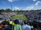 Wimbledon, oggi non solo Sinner: il sabato degli italiani e di Djokovic - Diretta