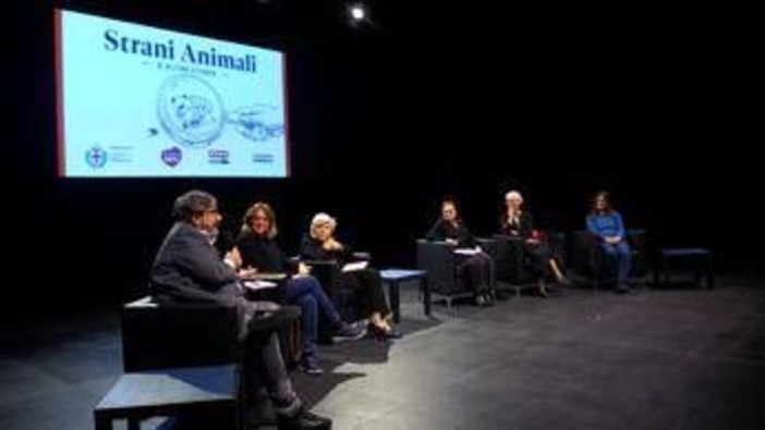 'Strani animali e altre storie', 20 racconti nati dai disegni dei bambini 'Strani animali e altre storie', 20 racconti nati dai disegni dei bambini