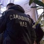 Violenze e abusi su anziane in Rsa nel milanese, interdetti 3 operatori