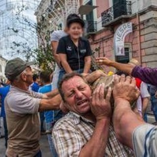 Matera, buoi sulla folla alla processione di Accettura: panico e 5 feriti