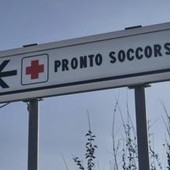 Due bambine azzannate da un cane randagio a Bari: una è in rianimazione