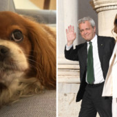 Fagnani e Mentana, addio alla cagnolina Bice: "Il dolore è profondo"