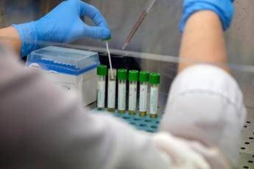 Medicina, italiani svelano errori nascosti nelle cellule: &quot;Possibile ruolo in più malattie&quot;
