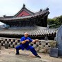 Cina-Italia, Angelo D’Aria “Arti marziali strettamente legate a cultura nazionale”